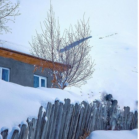 Guest House Data Ushguli Bagian luar foto